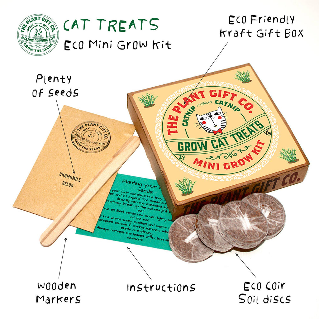 Plant Gift Co Cat Treats Eco Mini Grow Kit - Grow Kit - Subject to Change