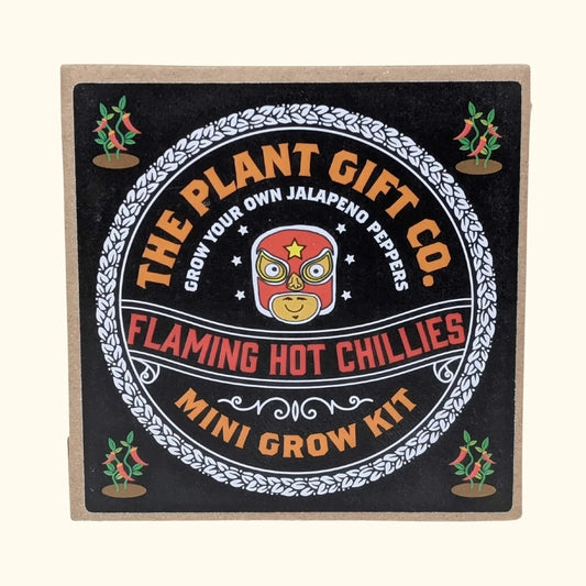 Flaming hot chillies mini grow kit