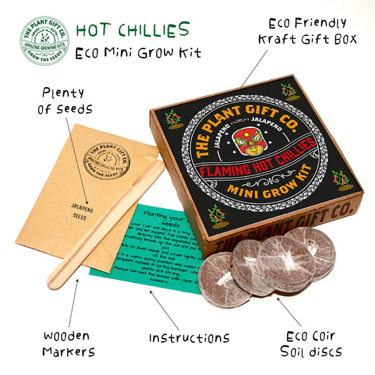 Plant Gift Co Flaming Hot Chillies Mini Grow Kit - Grow Kit - Subject to Change
