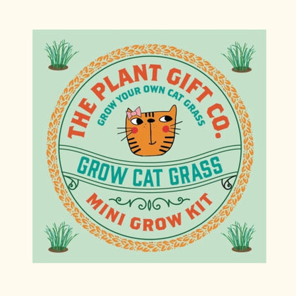 Cat grass eco mini grow kit