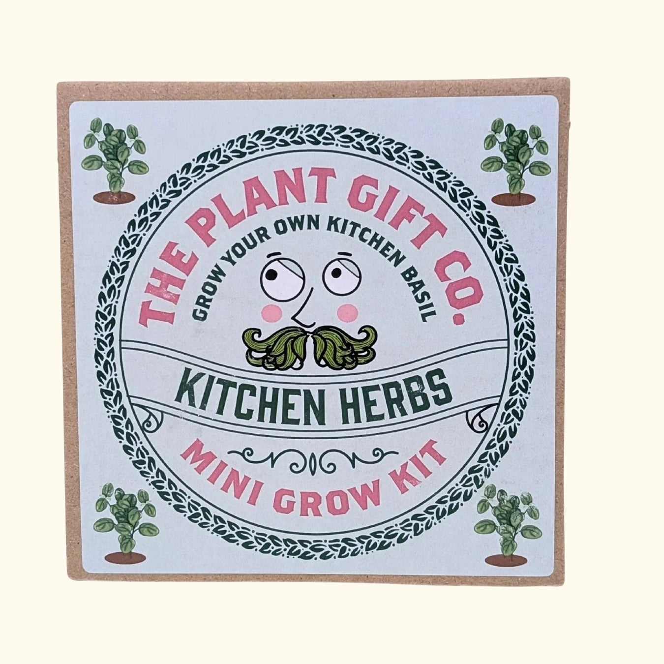Kitchen herbs mini grow kit