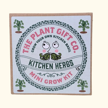 Kitchen herbs mini grow kit