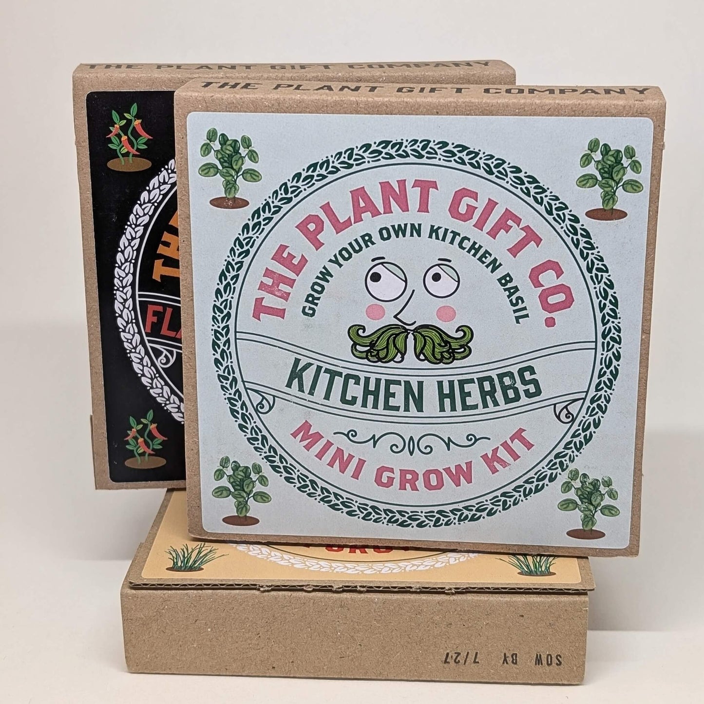 Plant Gift Co Kitchen Herbs Mini Grow Kit - Grow Kit - Subject to Change