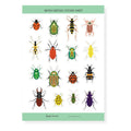 British Beetles Stickers