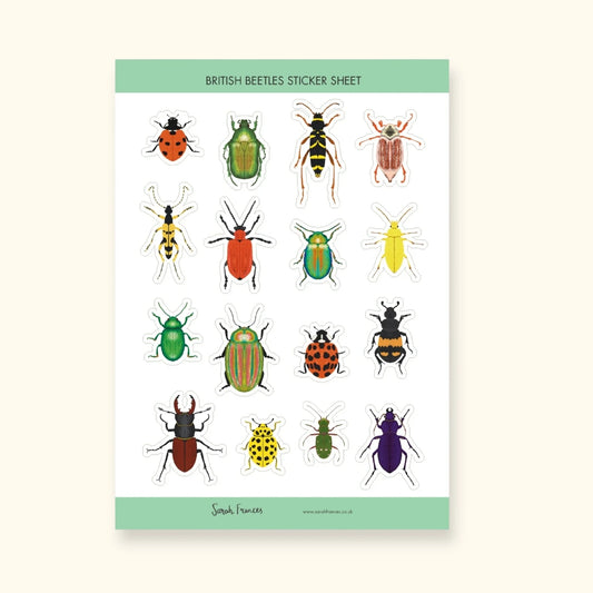 British beetles sticker sheet – illustrated beetle stickers – Sarah Frances