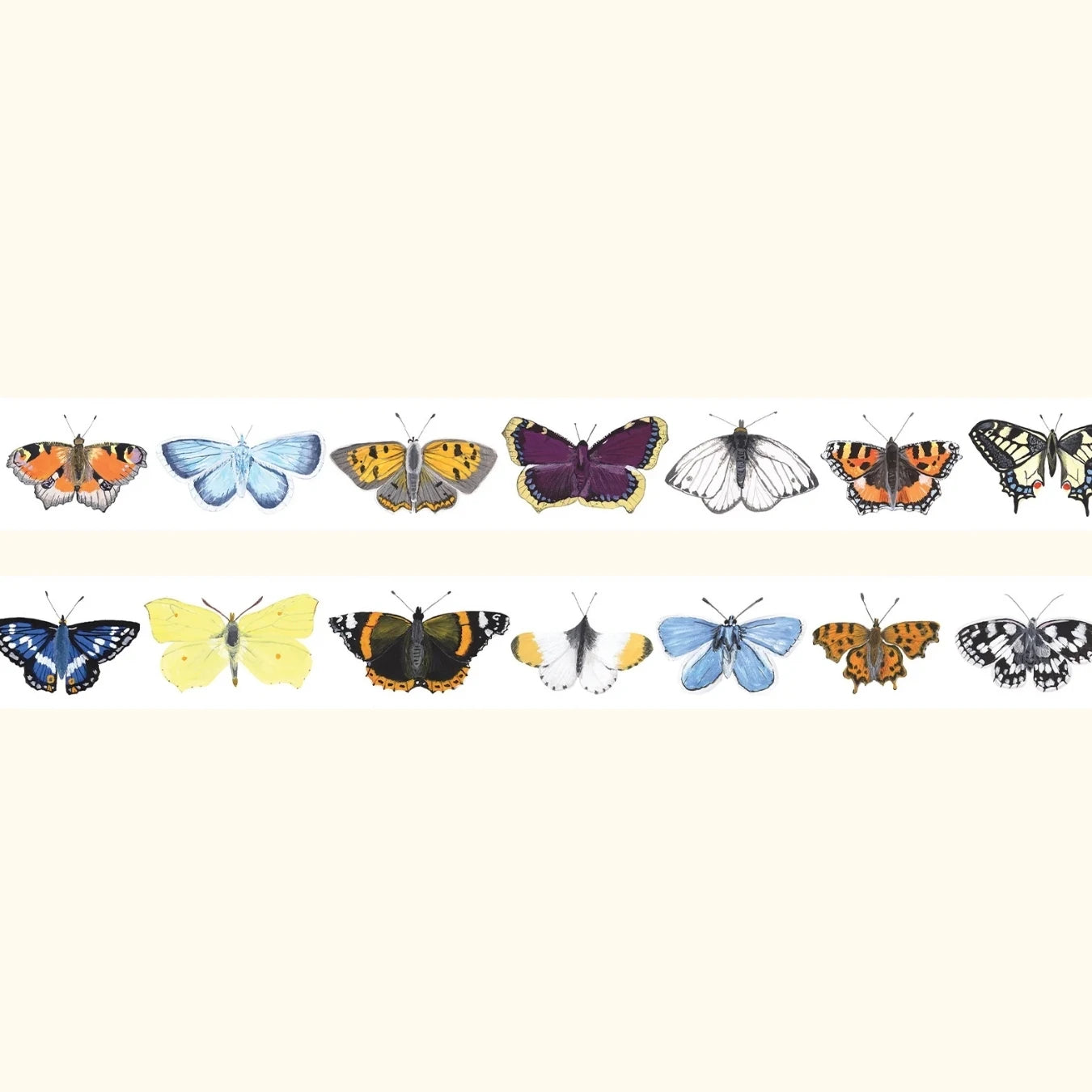 British butterflies washi tape – illustrated nature design