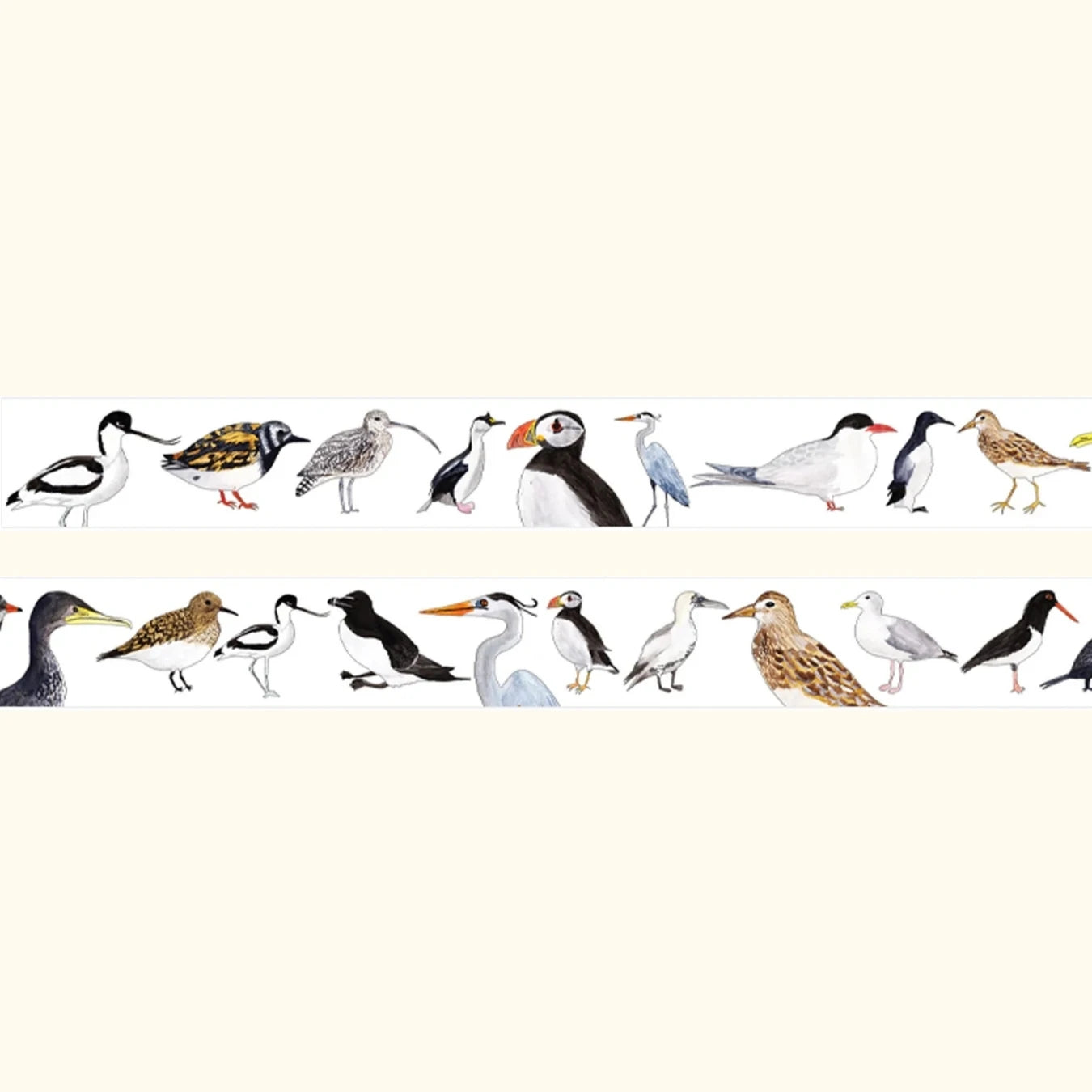 British coastal birds washi tape – illustrated nature design