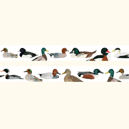British ducks washi tape – illustrated nature design