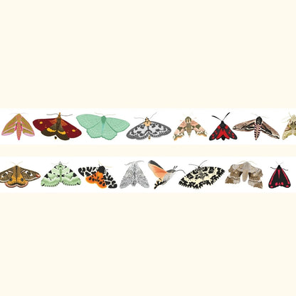 British moths washi tape – illustrated nature design