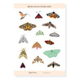 British Moths Stickers