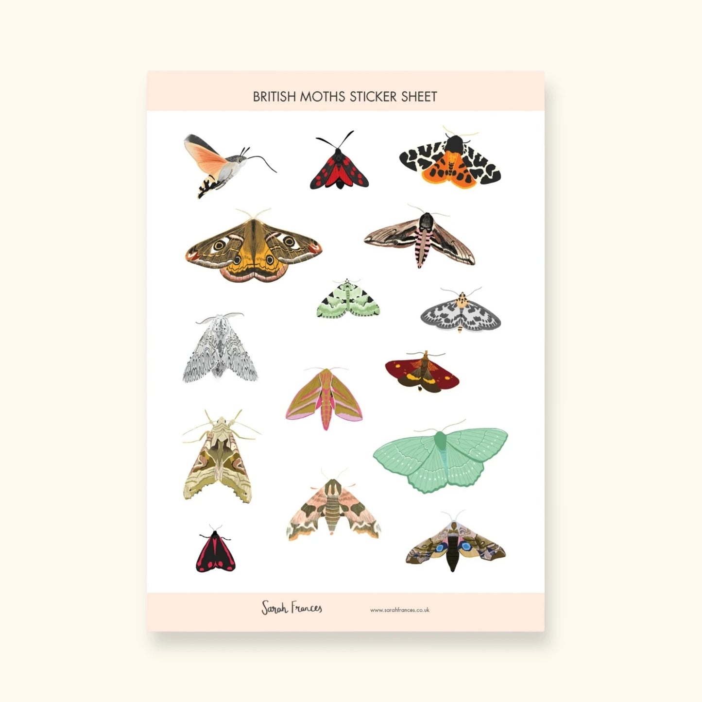 British moths sticker sheet – illustrated moth stickers for journals – Sarah Frances