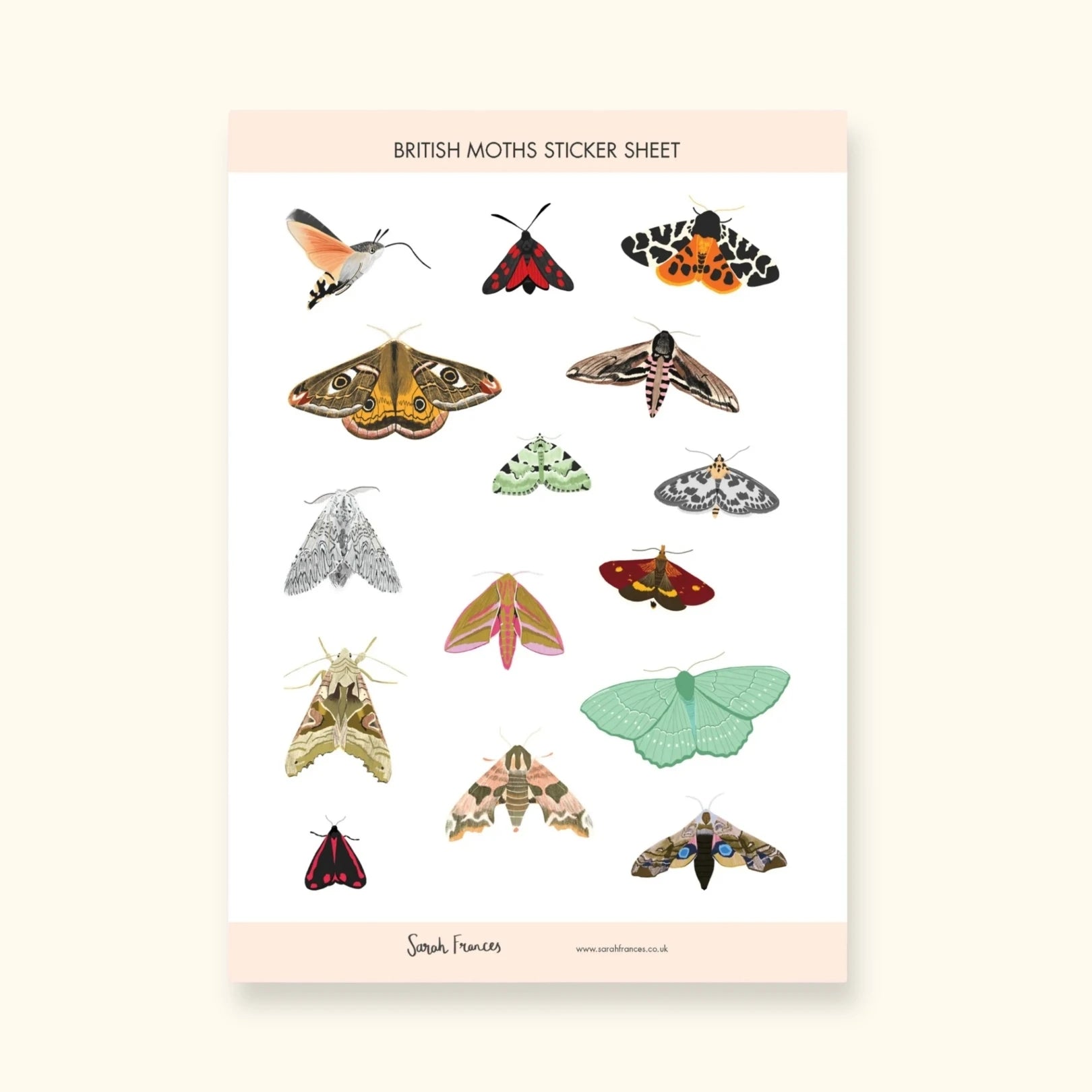 British moths sticker sheet – illustrated moth stickers for journals – Sarah Frances