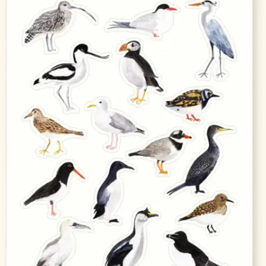 British Coastal Birds Sticker Sheet
