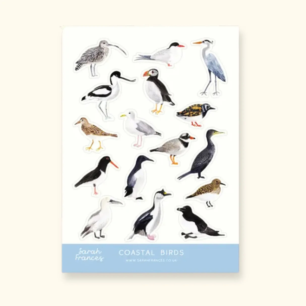 British Coastal Birds Sticker Sheet