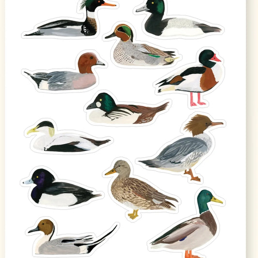 British Duck Sticker Sheet