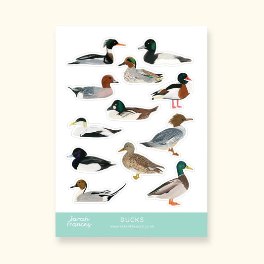 British Duck Sticker Sheet