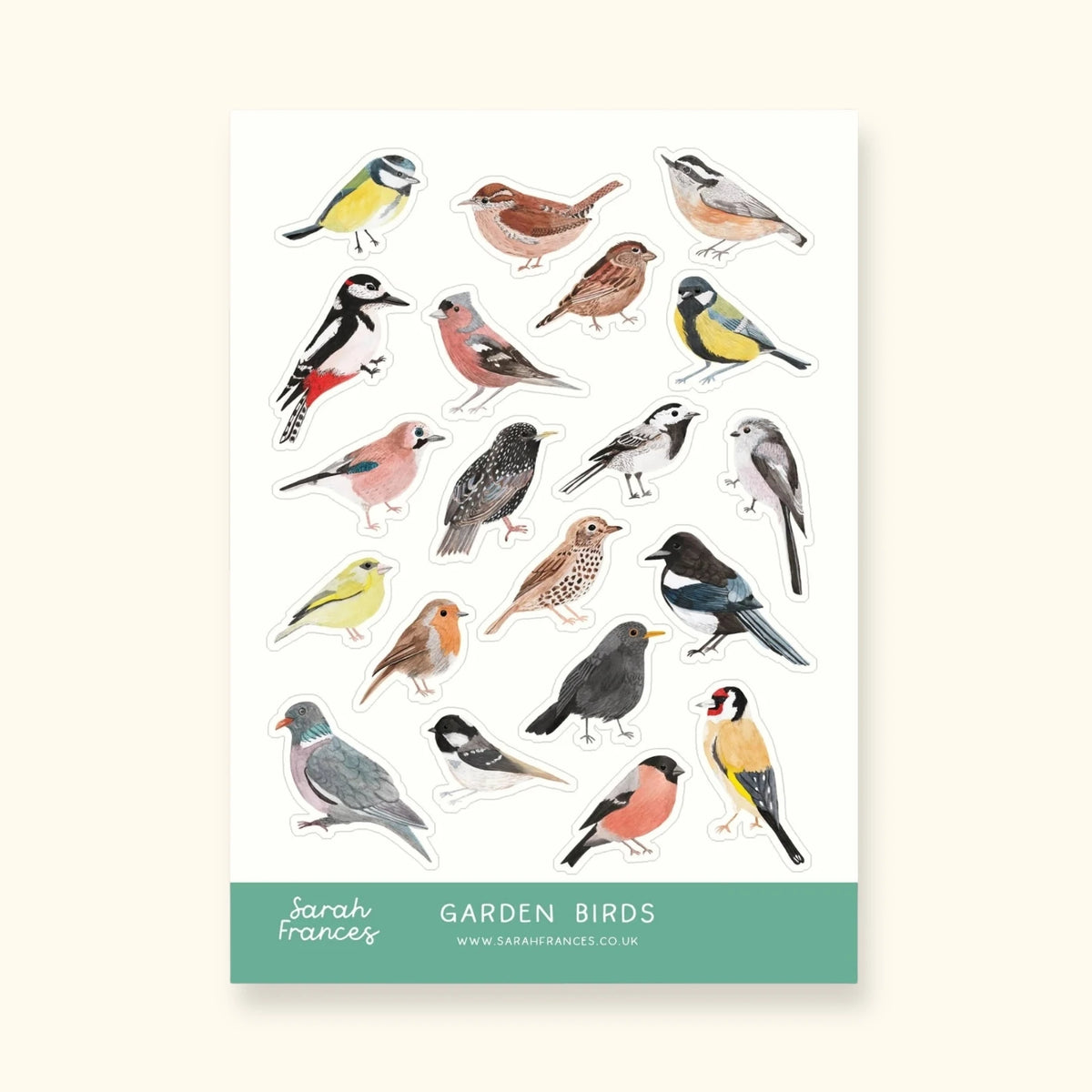 Garden birds sticker sheet – illustrated British garden bird stickers – Sarah Frances
