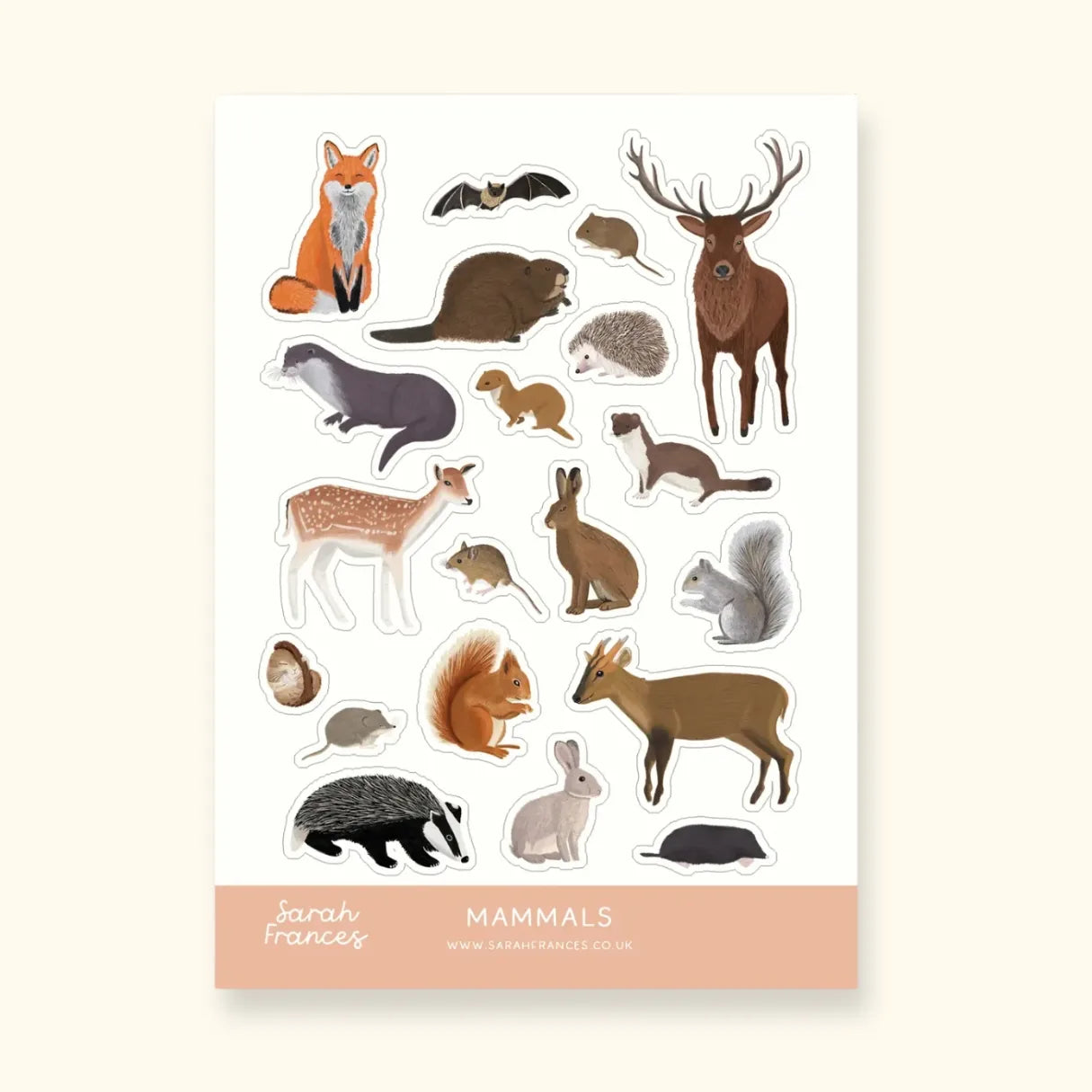British Mammals Sticker Sheet