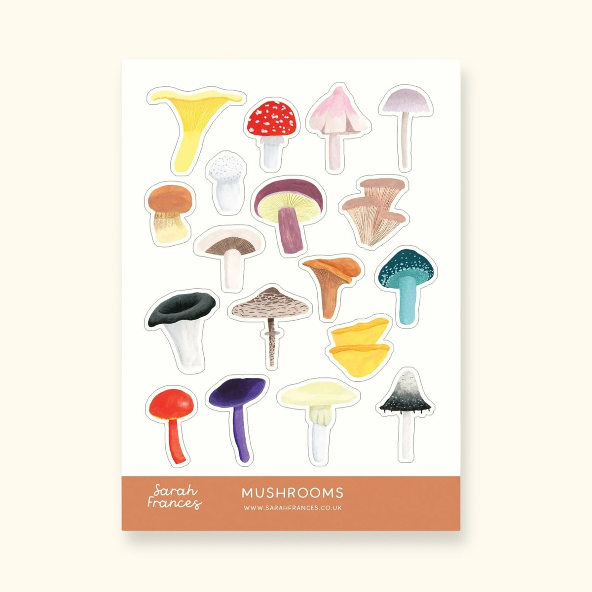 British mushrooms sticker sheet – illustrated fungi stickers – Sarah Frances