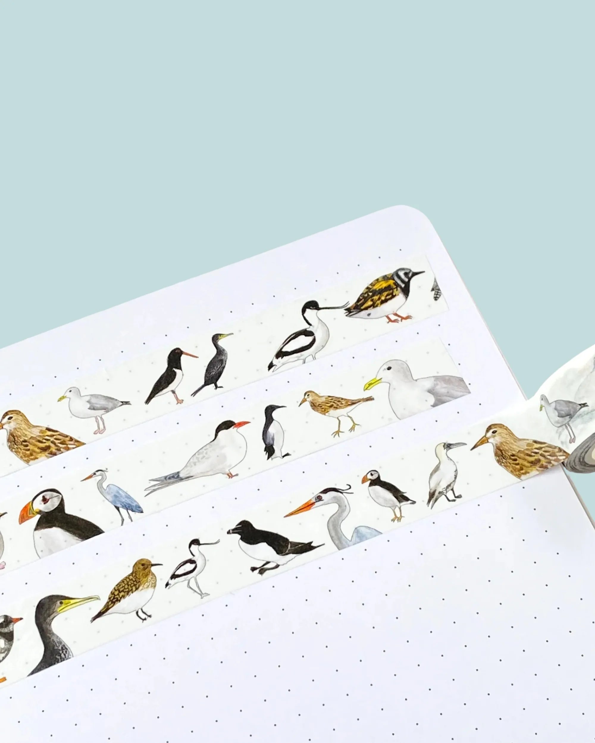 british seabirds design on washi tape