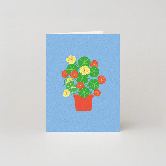 Nasturtium Floral Mini Card