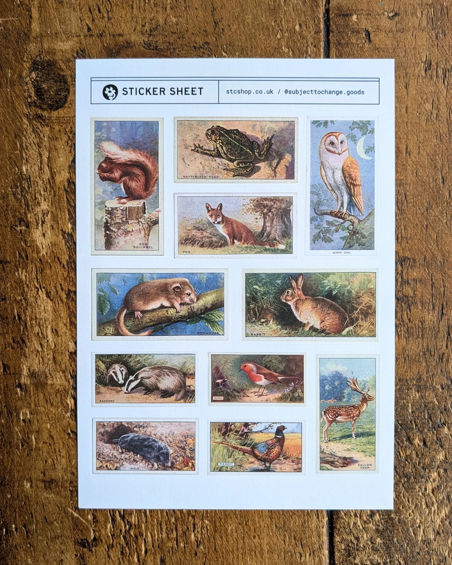 A5 British Wildlife Sticker Sheet