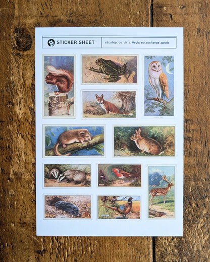 A5 British Wildlife Sticker Sheet
