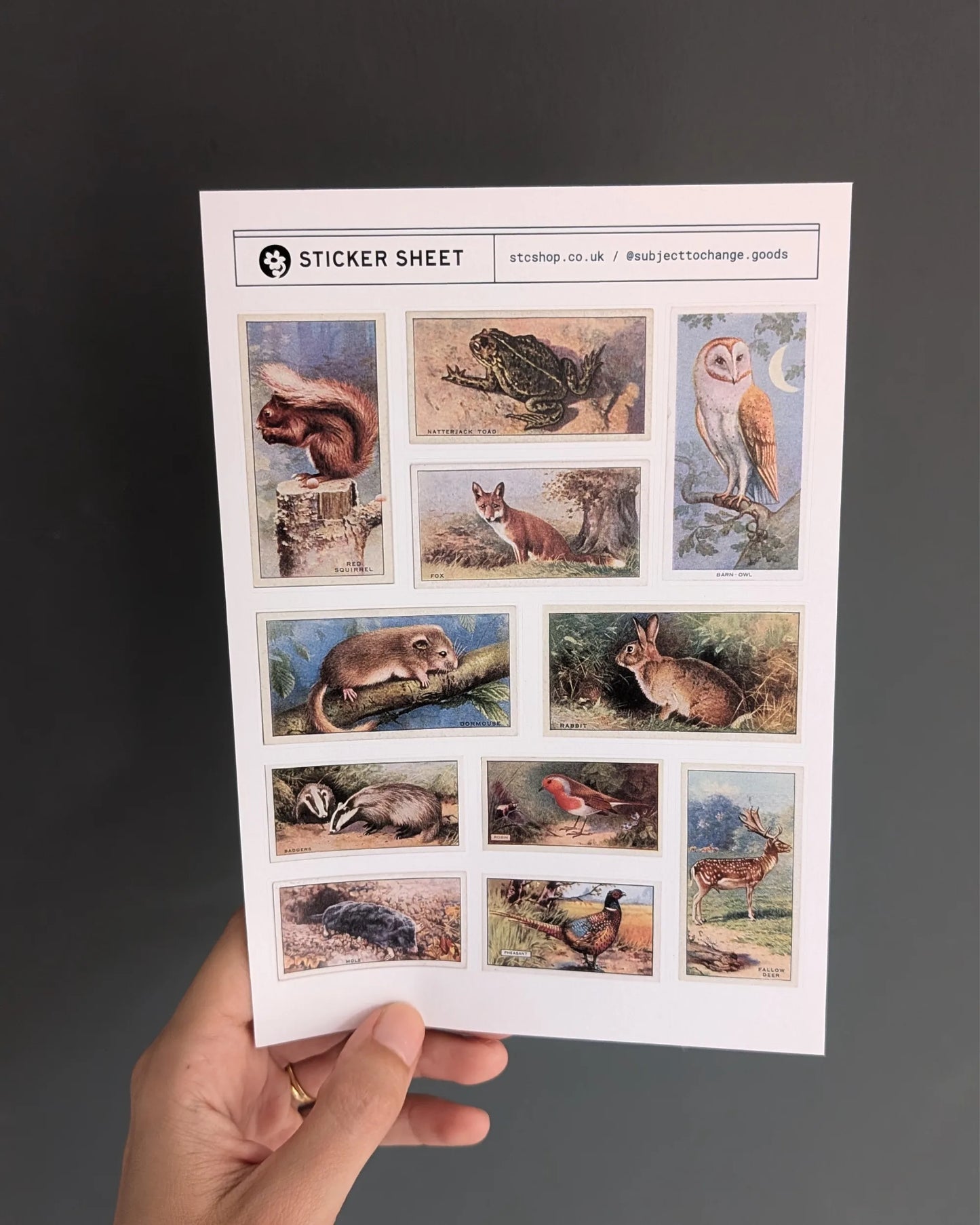 A5 British Wildlife Sticker Sheet