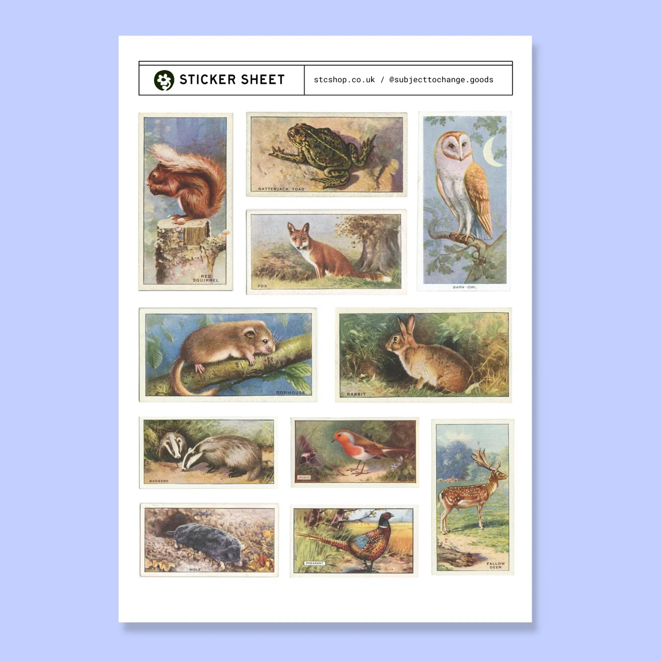 A5 British Wildlife Sticker Sheet