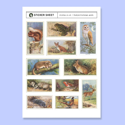 A5 British Wildlife Sticker Sheet