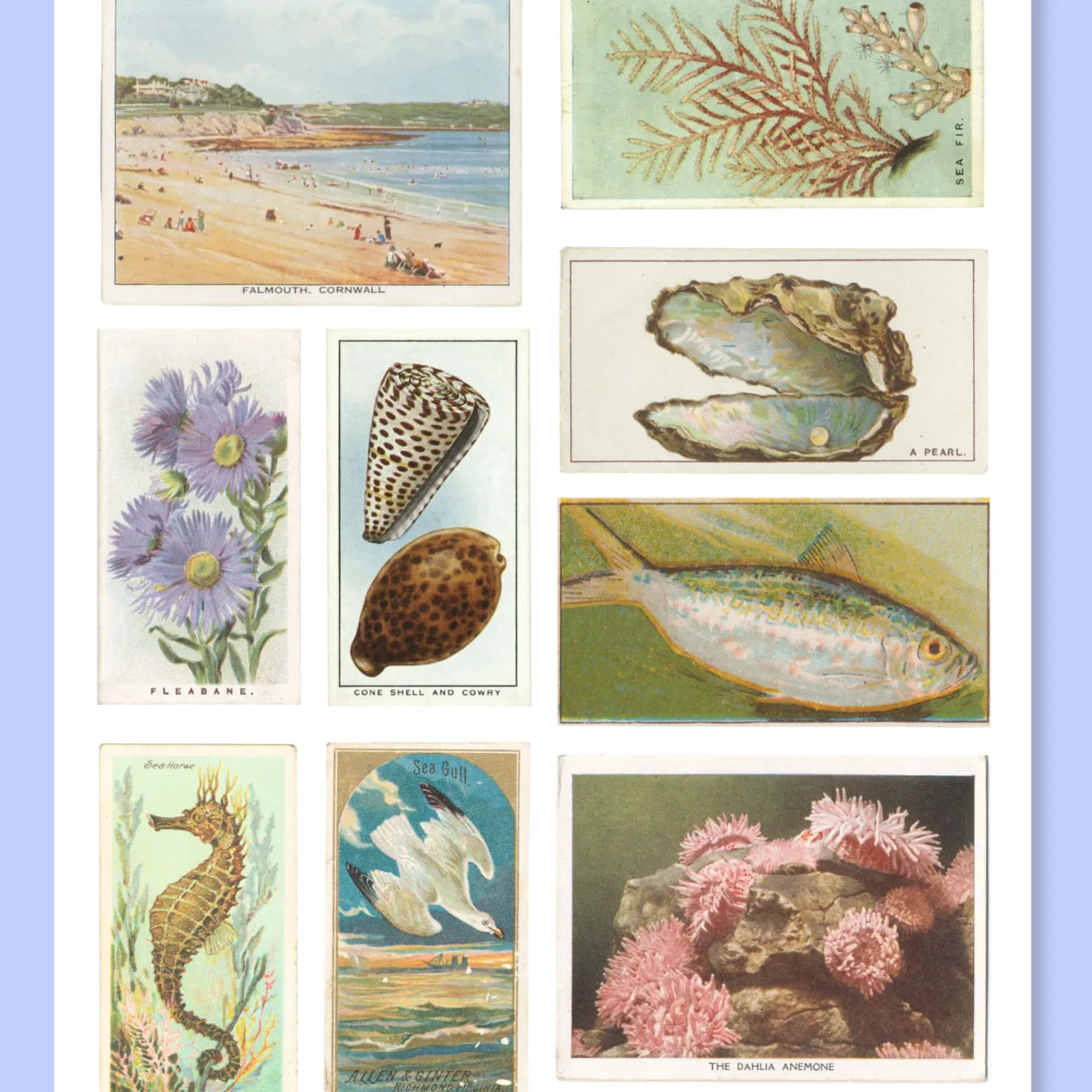 A5 Coastal & Seaside Sticker Sheet