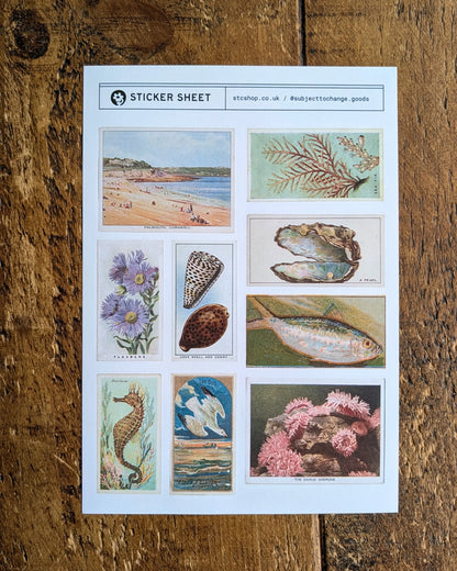 A5 Coastal & Seaside Sticker Sheet