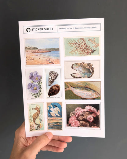 A5 Coastal & Seaside Sticker Sheet