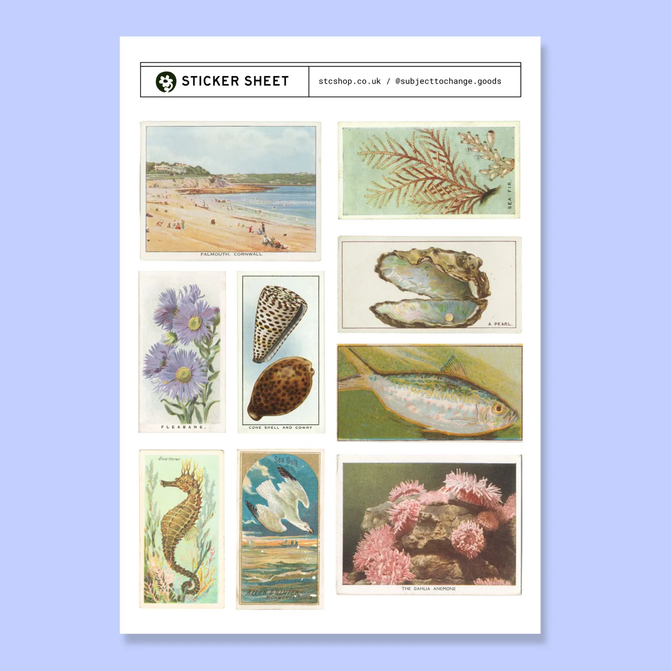 A5 Coastal & Seaside Sticker Sheet