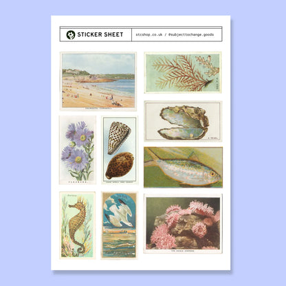 A5 Coastal & Seaside Sticker Sheet