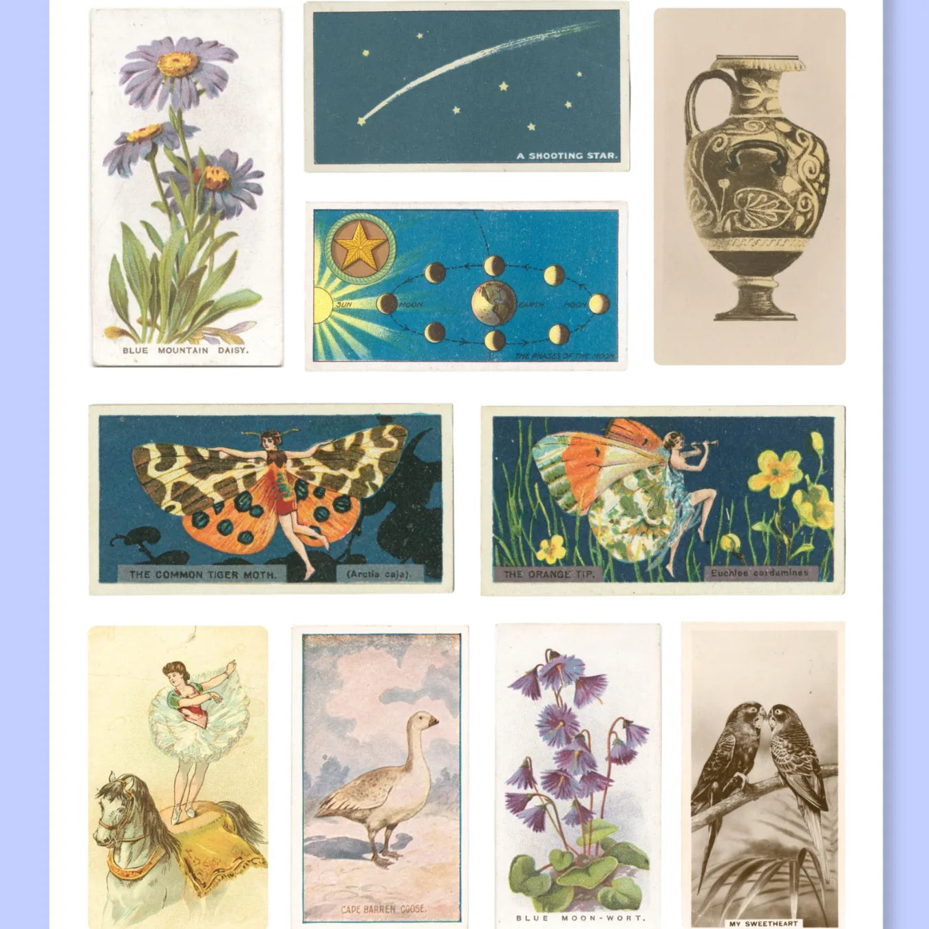 A5 Curious Whimsy Mix Sticker Sheet