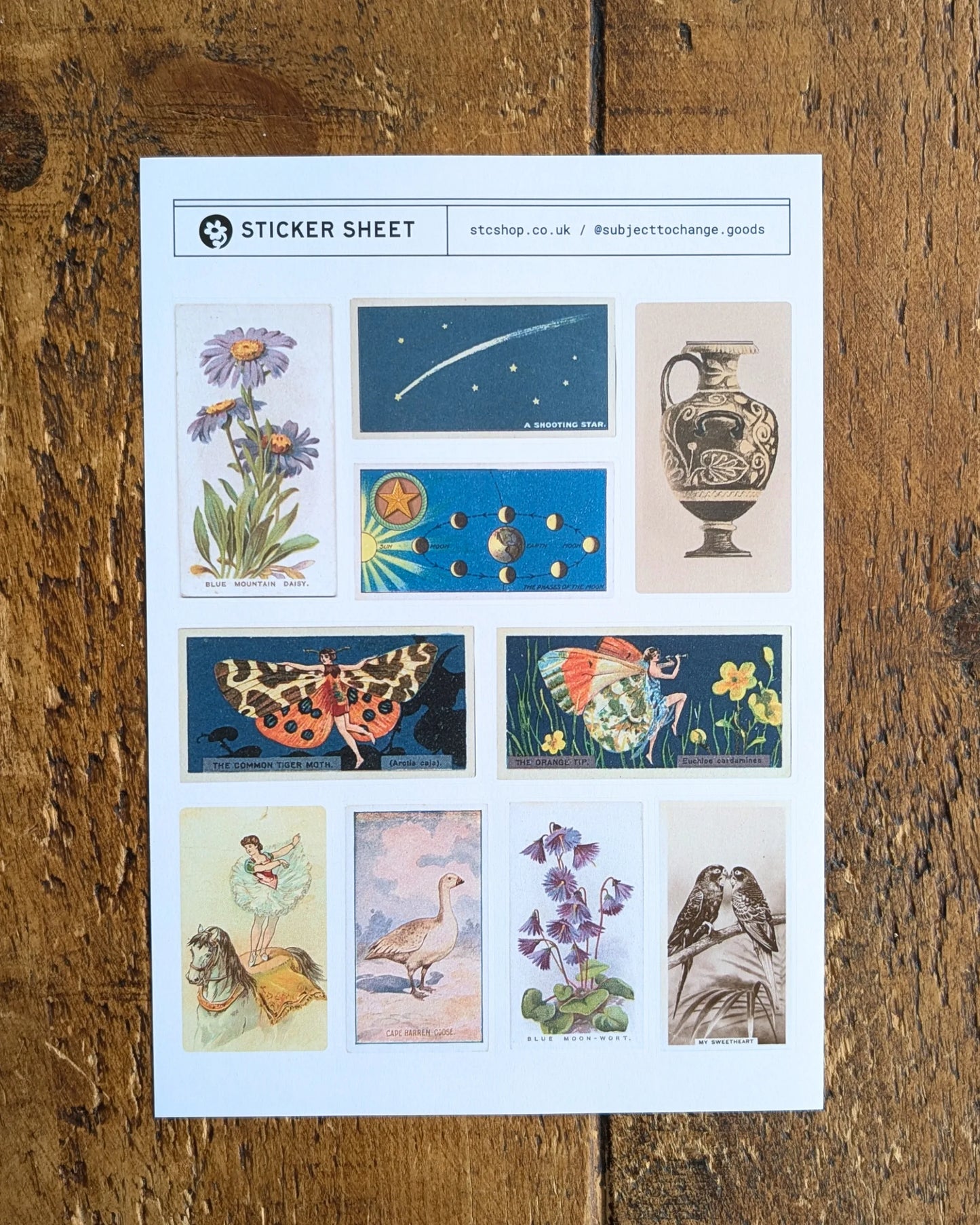 A5 Curious Whimsy Mix Sticker Sheet