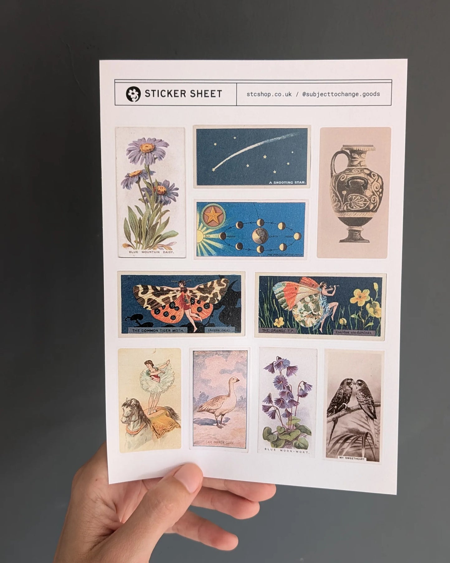 A5 Curious Whimsy Mix Sticker Sheet