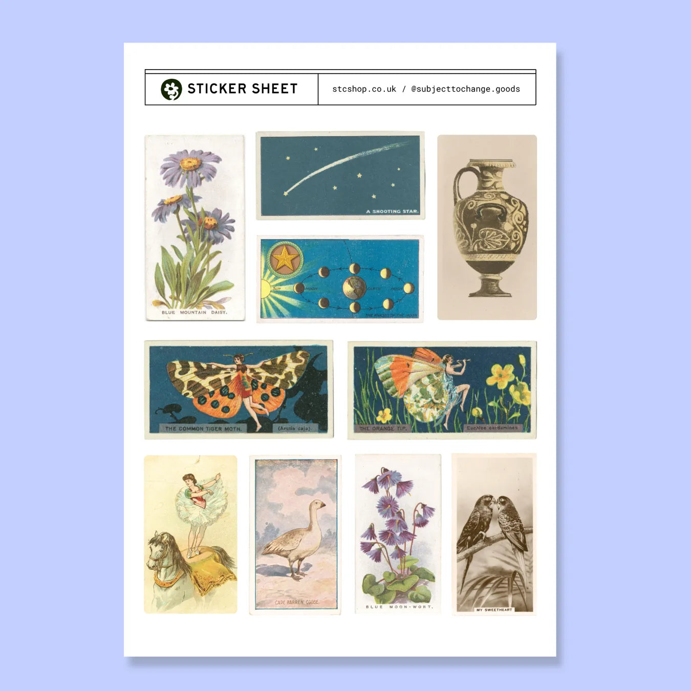 A5 Curious Whimsy Mix Sticker Sheet