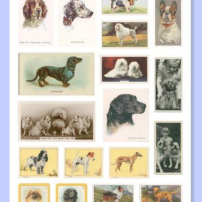 A5 Vintage Dogs Sticker Sheet
