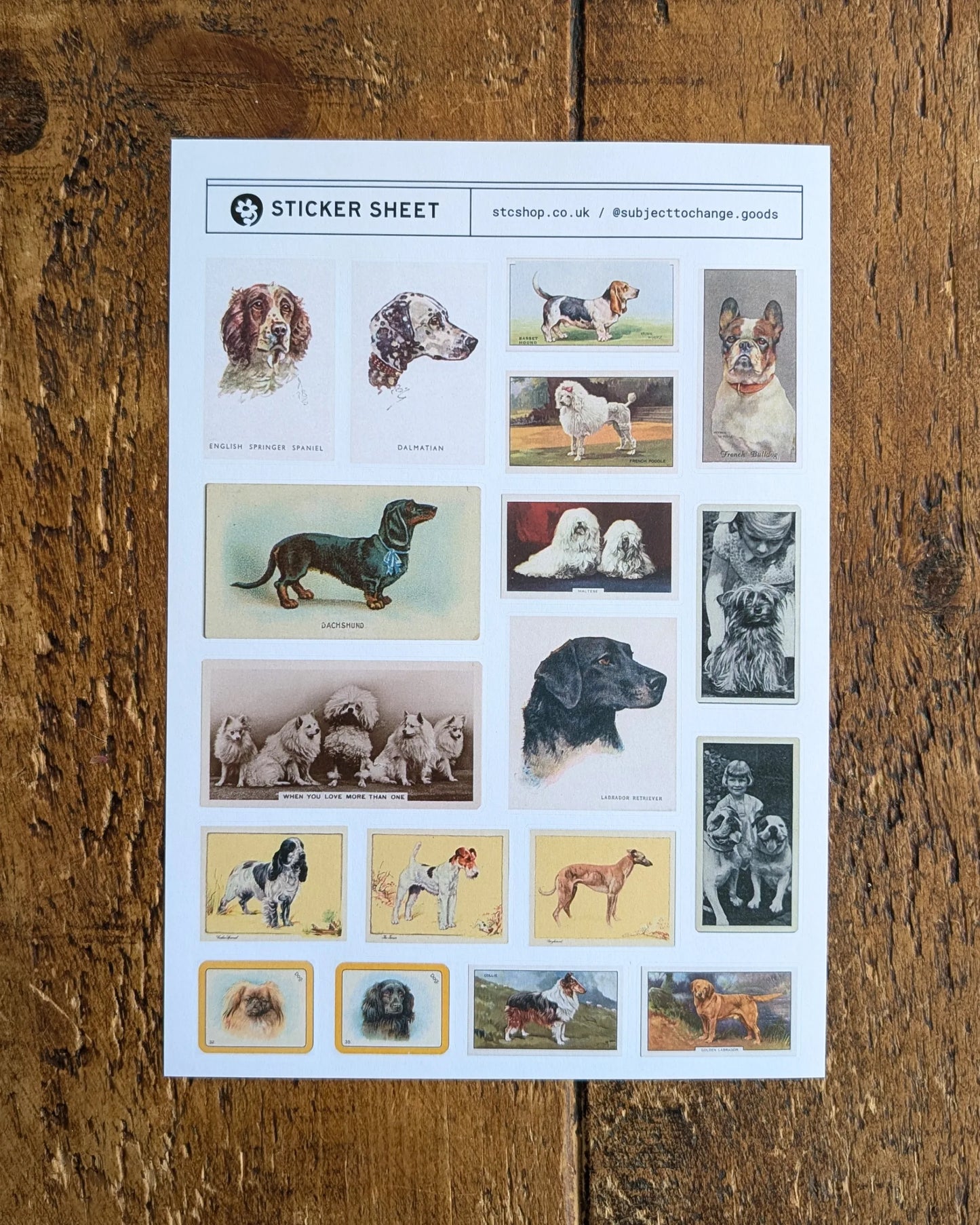 A5 Vintage Dogs Sticker Sheet