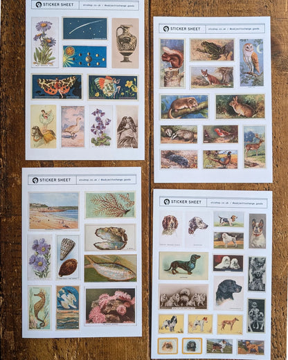 A5 British Wildlife Sticker Sheet