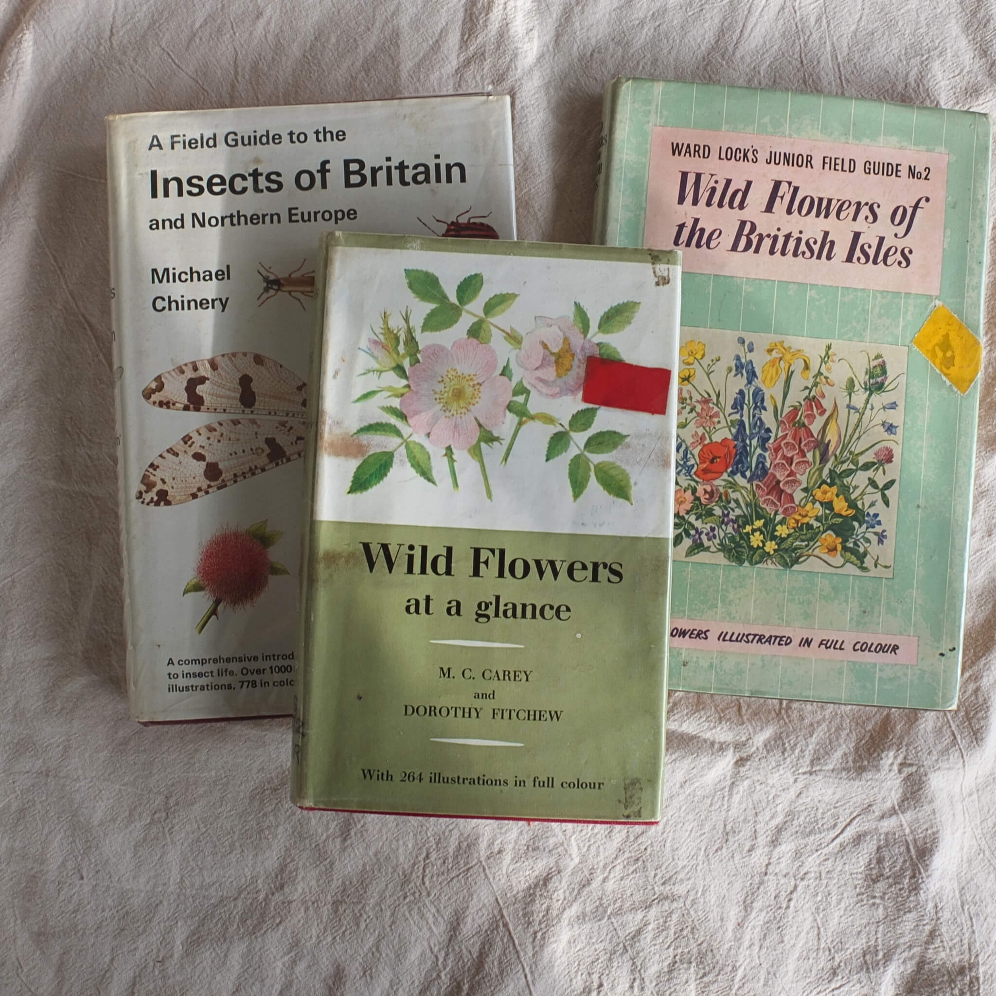 Vintage Botanical Guide Book - Wild Flowers at a Glance - Vintage Book - Subject to Change