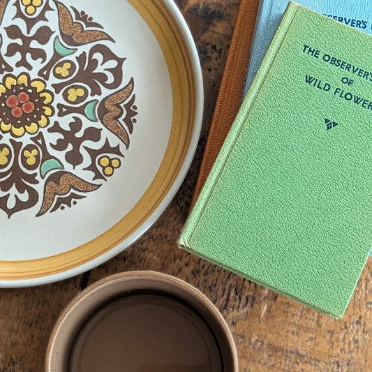 Vintage Side Plate from Denby Canterbury