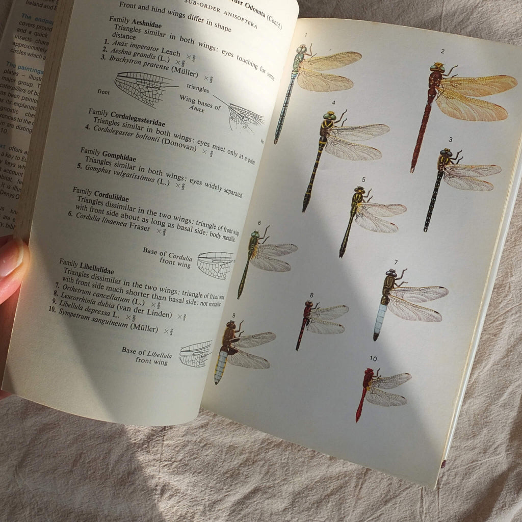 Vintage Field Guide - Insects of Britain and Northern Europe - Vintage Book - Subject to Change