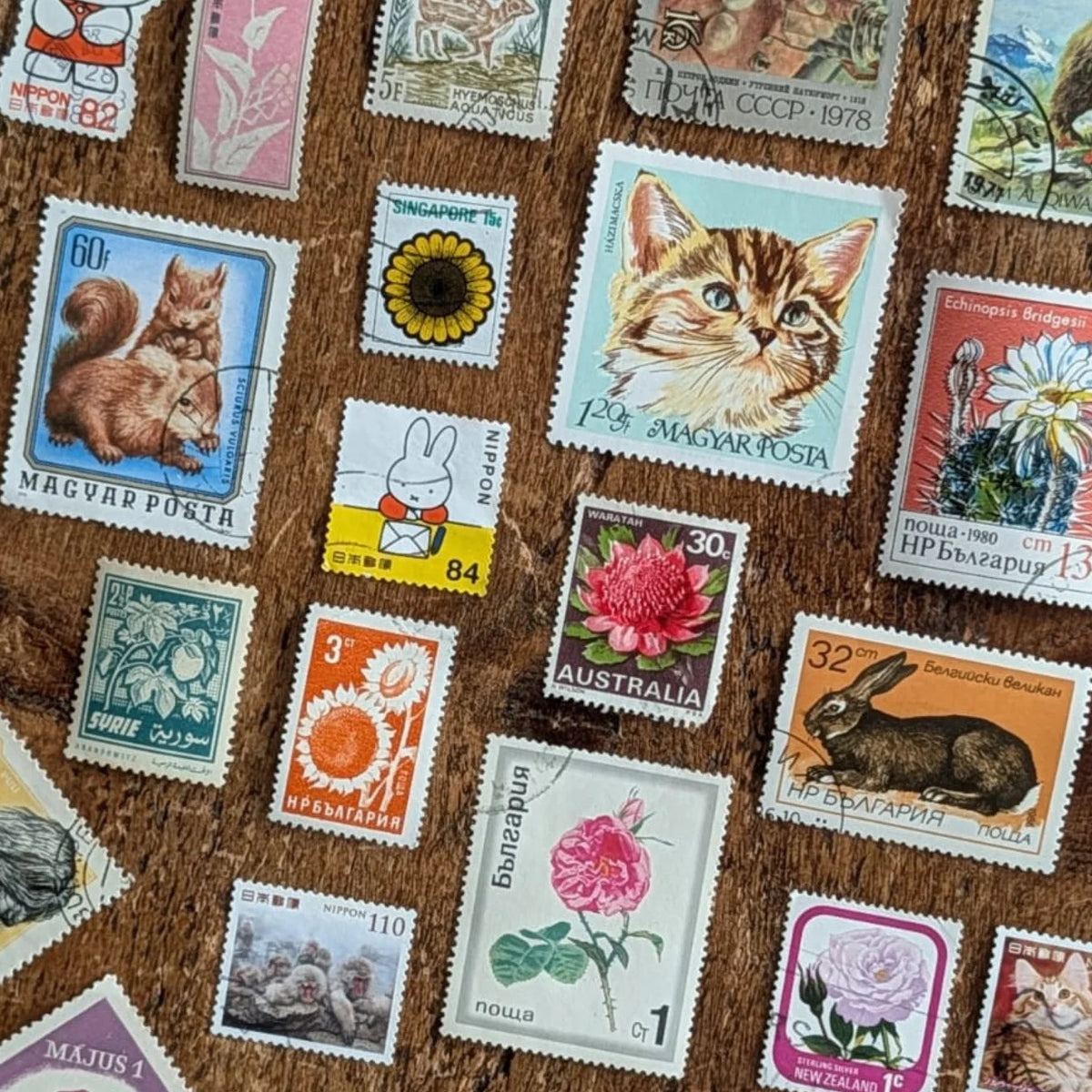 A collection of vintage and modern postage stamps from various countries arranged on a brown wooden surface. The stamps feature colorful animal and floral designs, including a squirrel, a cat, a sunflower, a pink lotus, a rabbit, and a rose.