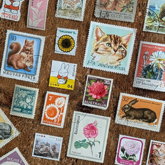 A collection of vintage and modern postage stamps from various countries arranged on a brown wooden surface. The stamps feature colorful animal and floral designs, including a squirrel, a cat, a sunflower, a pink lotus, a rabbit, and a rose.