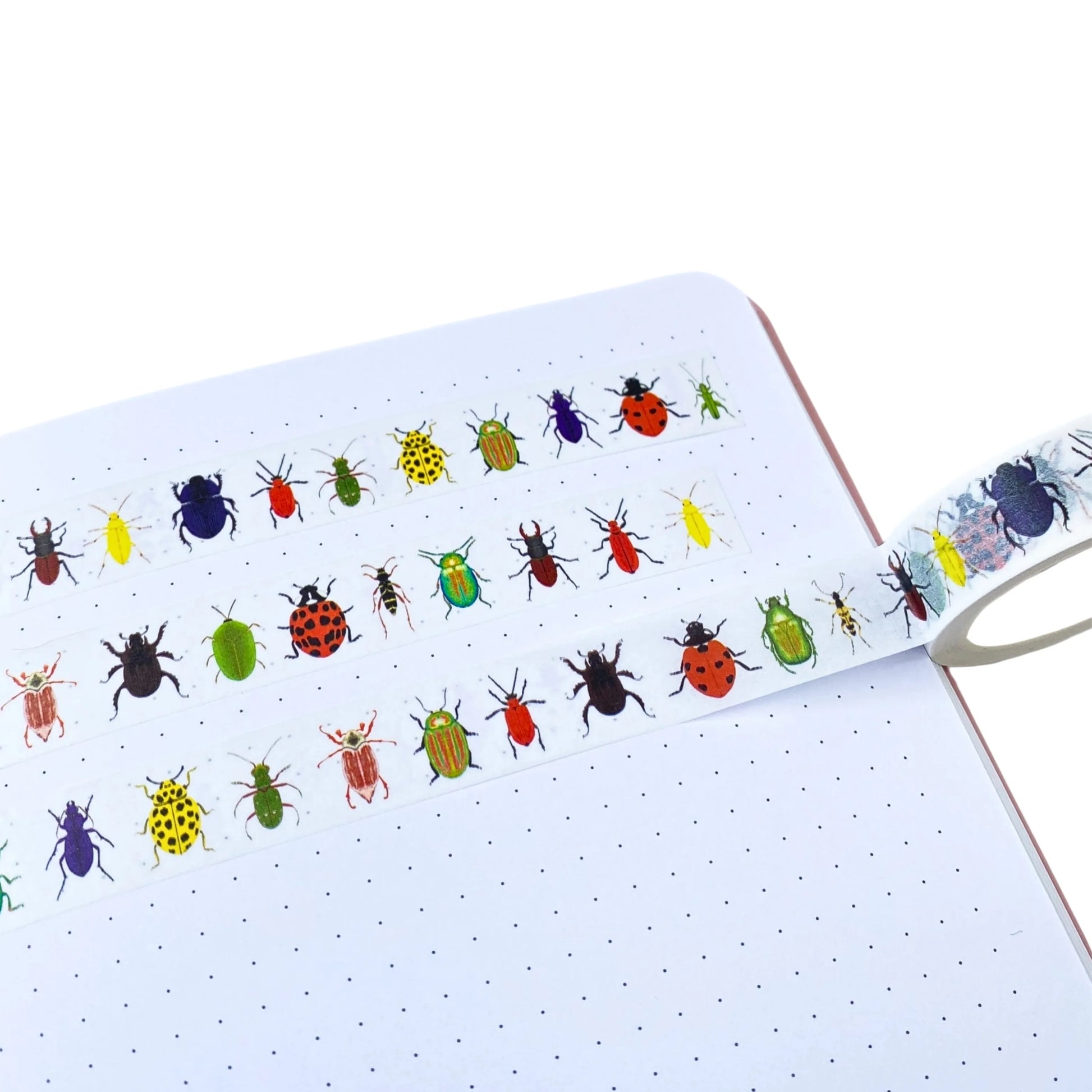 British beetles washi tape – illustrated nature design