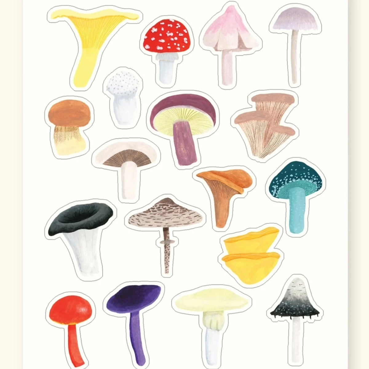 British mushrooms sticker sheet – illustrated fungi stickers – Sarah Frances
