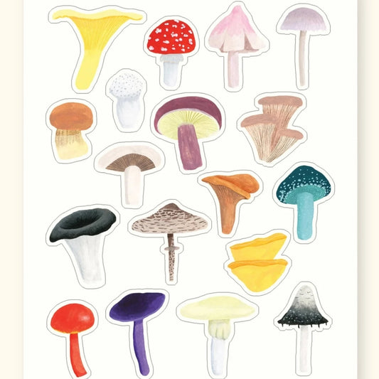 British mushrooms sticker sheet – illustrated fungi stickers – Sarah Frances